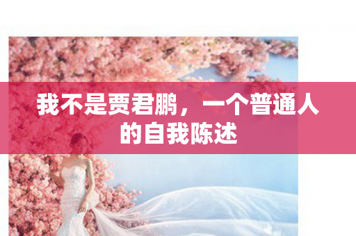 我不是贾君鹏,一个普通人的自我陈述 我不是贾君鹏,一个普通人的自我陈述