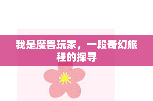 我是魔兽玩家，一段奇幻旅程的探寻