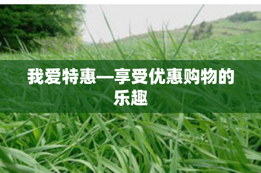 我爱特惠—享受优惠购物的乐趣
