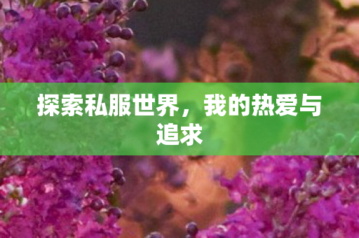 探索私服世界，我的热爱与追求
