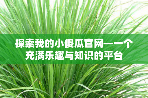 探索我的小傻瓜官网—一个充满乐趣与知识的平台 探索我的小傻瓜官网—一个充满乐趣与知识的平台