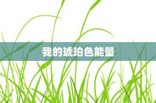 我的琥珀色能量 我的琥珀色能量