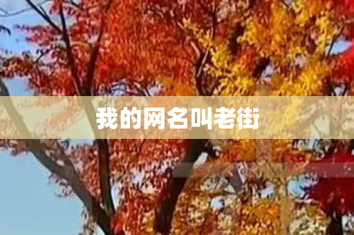 我的网名叫老街 我的网名叫老街