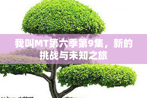 我叫MT第六季第9集,新的挑战与未知之旅 我叫MT第六季第9集,新的挑战与未知之旅