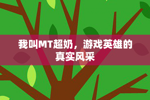 我叫MT超奶,游戏英雄的真实风采 我叫MT超奶,游戏英雄的真实风采