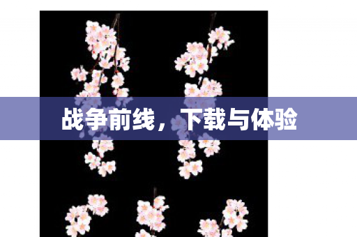 战争前线,下载与体验 战争前线,下载与体验