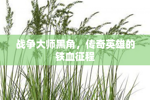 战争大师黑角,传奇英雄的铁血征程 战争大师黑角,传奇英雄的铁血征程