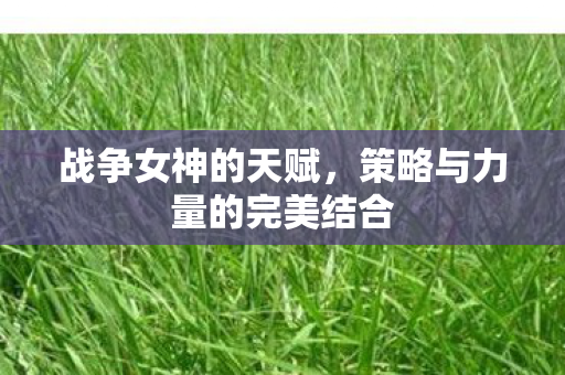 战争女神的天赋,策略与力量的完美结合 战争女神的天赋,策略与力量的完美结合