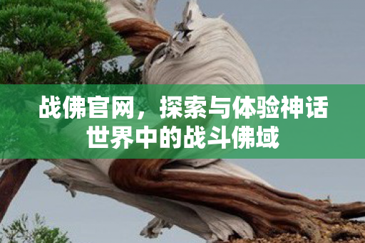 战佛官网，探索与体验神话世界中的战斗佛域