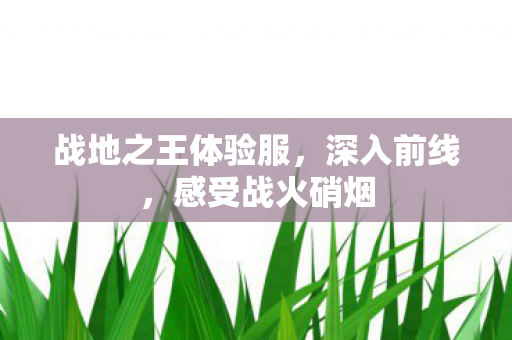 战地之王体验服,深入前线,感受战火硝烟 战地之王体验服,深入前线,感受战火硝烟