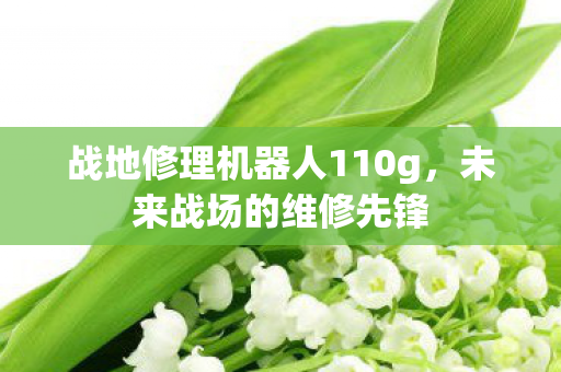 战地修理机器人110g,未来战场的维修先锋 战地修理机器人110g,未来战场的维修先锋