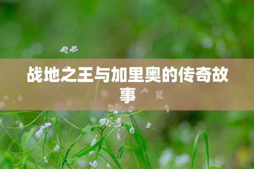 战地之王与加里奥的传奇故事 战地之王与加里奥的传奇故事