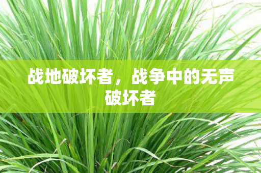 战地破坏者,战争中的无声破坏者 战地破坏者,战争中的无声破坏者