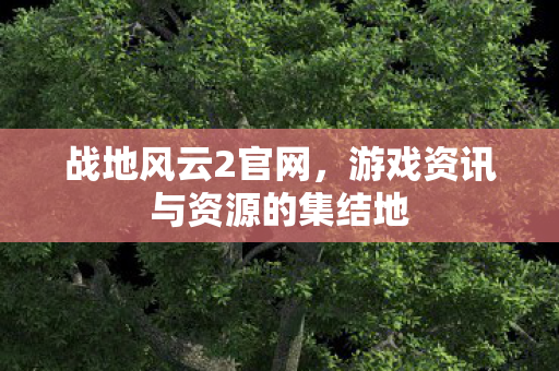 战地风云2官网,游戏资讯与资源的集结地 战地风云2官网,游戏资讯与资源的集结地