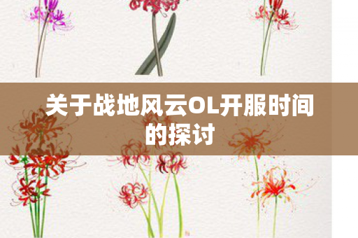 关于战地风云OL开服时间的探讨 关于战地风云OL开服时间的探讨