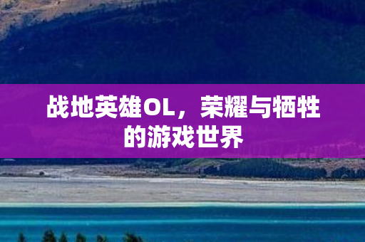 战地英雄OL,荣耀与牺牲的游戏世界 战地英雄OL,荣耀与牺牲的游戏世界
