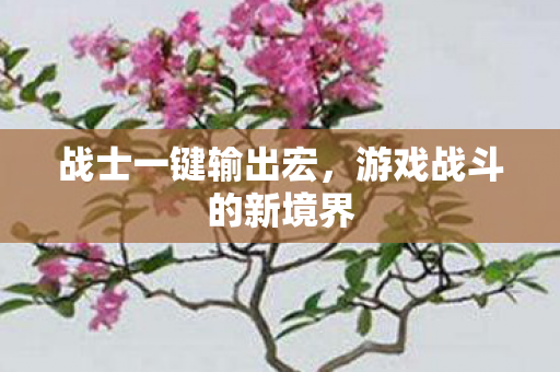 战士一键输出宏,游戏战斗的新境界 战士一键输出宏,游戏战斗的新境界