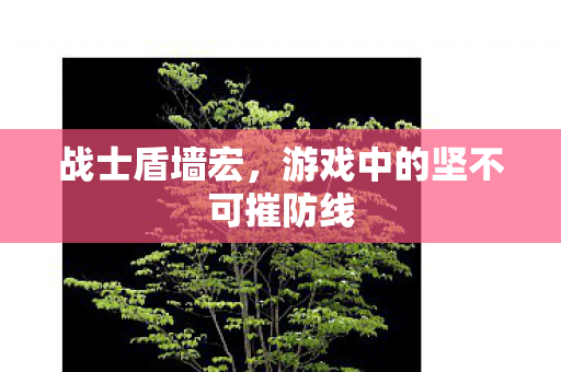 战士盾墙宏,游戏中的坚不可摧防线 战士盾墙宏,游戏中的坚不可摧防线