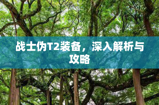 战士伪T2装备,深入解析与攻略 战士伪T2装备,深入解析与攻略
