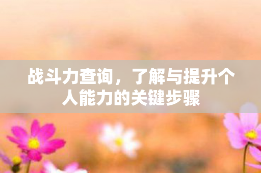 战斗力查询，了解与提升个人能力的关键步骤