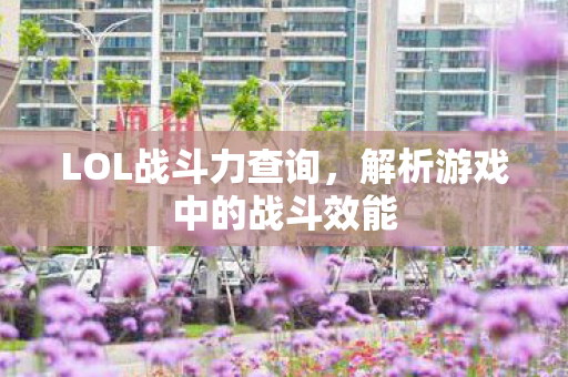 LOL战斗力查询,解析游戏中的战斗效能 LOL战斗力查询,解析游戏中的战斗效能