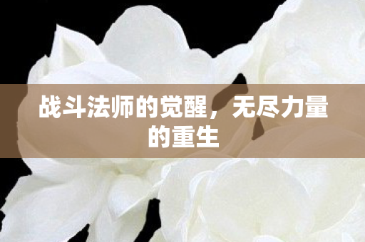 战斗法师的觉醒，无尽力量的重生