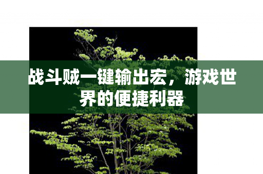 战斗贼一键输出宏，游戏世界的便捷利器