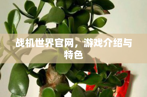 战机世界官网,游戏介绍与特色 战机世界官网,游戏介绍与特色