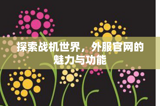 探索战机世界,外服官网的魅力与功能 探索战机世界,外服官网的魅力与功能