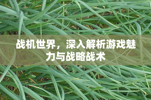 战机世界,深入解析游戏魅力与战略战术 战机世界,深入解析游戏魅力与战略战术