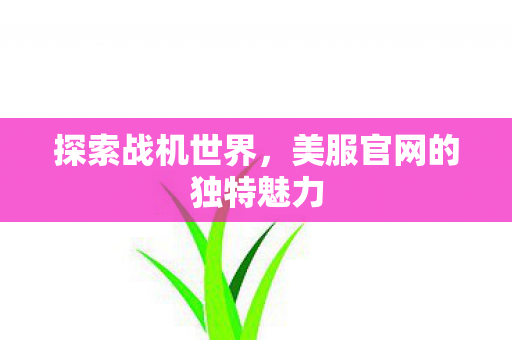 探索战机世界,美服官网的独特魅力 探索战机世界,美服官网的独特魅力