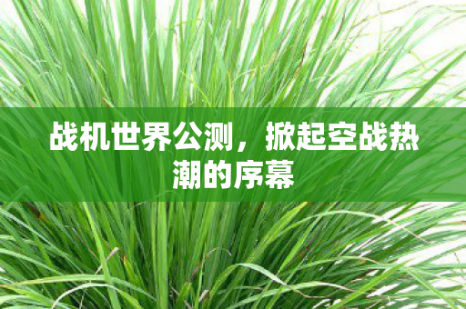 战机世界公测,掀起空战热潮的序幕 战机世界公测,掀起空战热潮的序幕