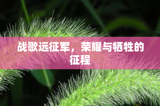 战歌远征军,荣耀与牺牲的征程 战歌远征军,荣耀与牺牲的征程