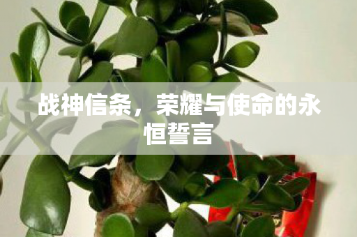 战神信条,荣耀与使命的永恒誓言 战神信条,荣耀与使命的永恒誓言