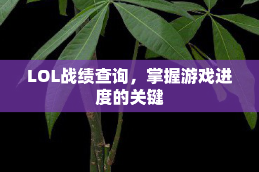 LOL战绩查询,掌握游戏进度的关键 LOL战绩查询,掌握游戏进度的关键