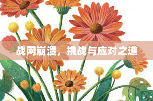 战网崩溃,挑战与应对之道 战网崩溃,挑战与应对之道