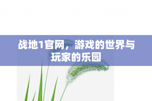 战地1官网,游戏的世界与玩家的乐园 战地1官网,游戏的世界与玩家的乐园