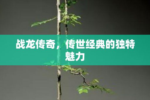 战龙传奇,传世经典的独特魅力 战龙传奇,传世经典的独特魅力