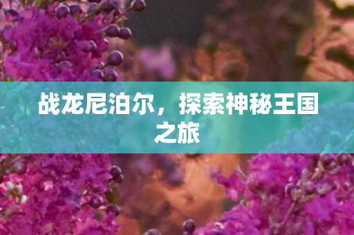 战龙尼泊尔,探索神秘王国之旅 战龙尼泊尔,探索神秘王国之旅