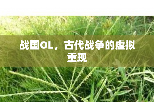 战国OL,古代战争的虚拟重现 战国OL,古代战争的虚拟重现