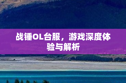 战锤OL台服,游戏深度体验与解析 战锤OL台服,游戏深度体验与解析