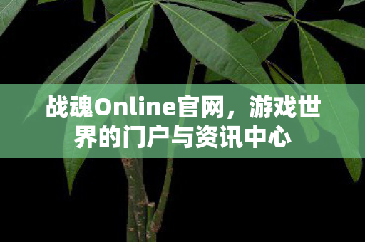 战魂Online官网,游戏世界的门户与资讯中心 战魂Online官网,游戏世界的门户与资讯中心