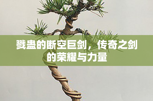 戮蛊的断空巨剑,传奇之剑的荣耀与力量 戮蛊的断空巨剑,传奇之剑的荣耀与力量
