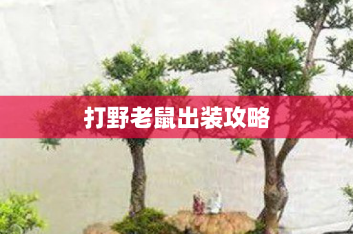 打野老鼠出装攻略 打野老鼠出装攻略