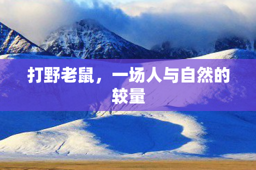 打野老鼠,一场人与自然的较量 打野老鼠,一场人与自然的较量