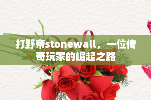 打野帝stonewall,一位传奇玩家的崛起之路 打野帝stonewall,一位传奇玩家的崛起之路