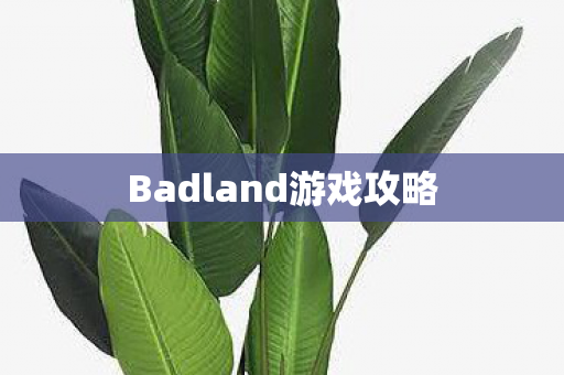 Badland游戏攻略 Badland游戏攻略