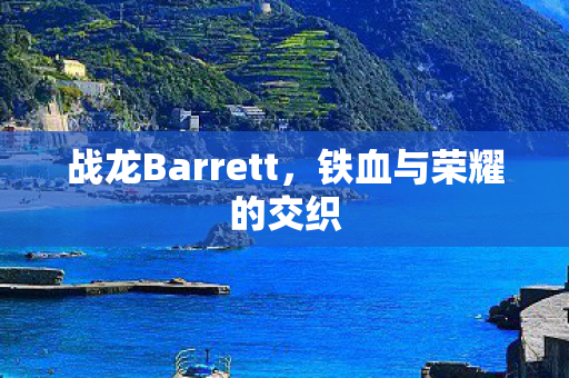 战龙Barrett,铁血与荣耀的交织 战龙Barrett,铁血与荣耀的交织
