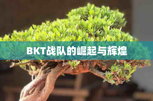 BKT战队的崛起与辉煌 BKT战队的崛起与辉煌