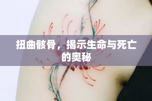 扭曲骸骨,揭示生命与死亡的奥秘 扭曲骸骨,揭示生命与死亡的奥秘